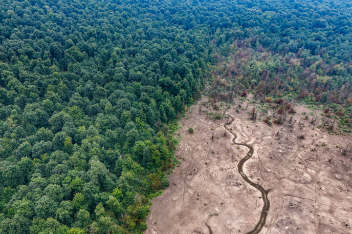 ۴ ذخیرهگاه جدید زیستکره در ایران ایجاد میشود/ آماده همکاری در برنامه اقدام هانگژو