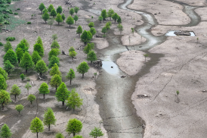 مازندران روی مرز خشکسالی؛ کاهش ۵۳ درصدی بارشهای مردادی
