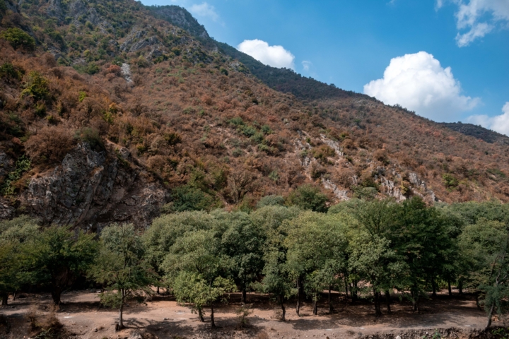 هیرکانی انبار باروت است/ طبیعت گردی در مازندران تا اطلاع بعدی ممنوع شد