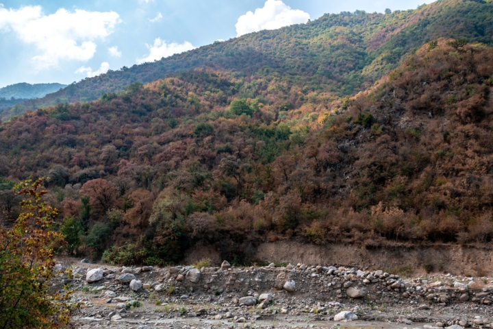 ورود به جنگلهای هیرکانی سوادکوه ممنوع است