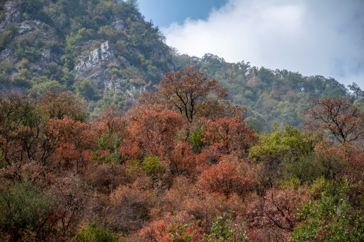 ضرورت همراهی مردم برای حفاظت از ۱۳۷میلیون هکتار عرصه طبیعی کشور