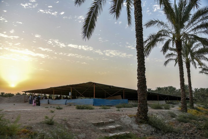 کشاورزی بوشهر در مسیر افزایش تولید، امنیت غذایی و اشتغال پایدار