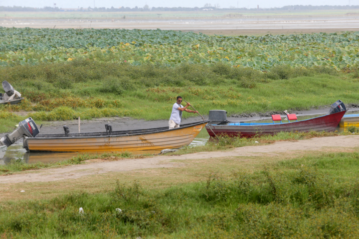 مدیریت پایدار تالابها؛ ضرورت نجات زیستبومهای در حال زوال ایران