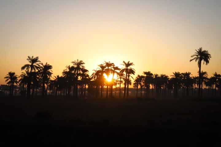 قصه خرما در حاشیه کارون