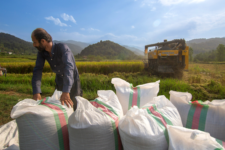 راهبرد مهاجرت معکوس؛ روستاهای آباد، مرزهای امن
