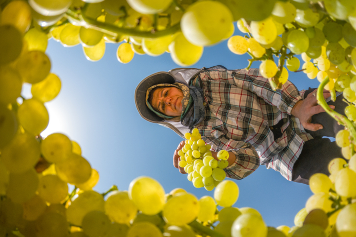 قزوین در آستانه خیز بلند صنعتی و کشاورزی