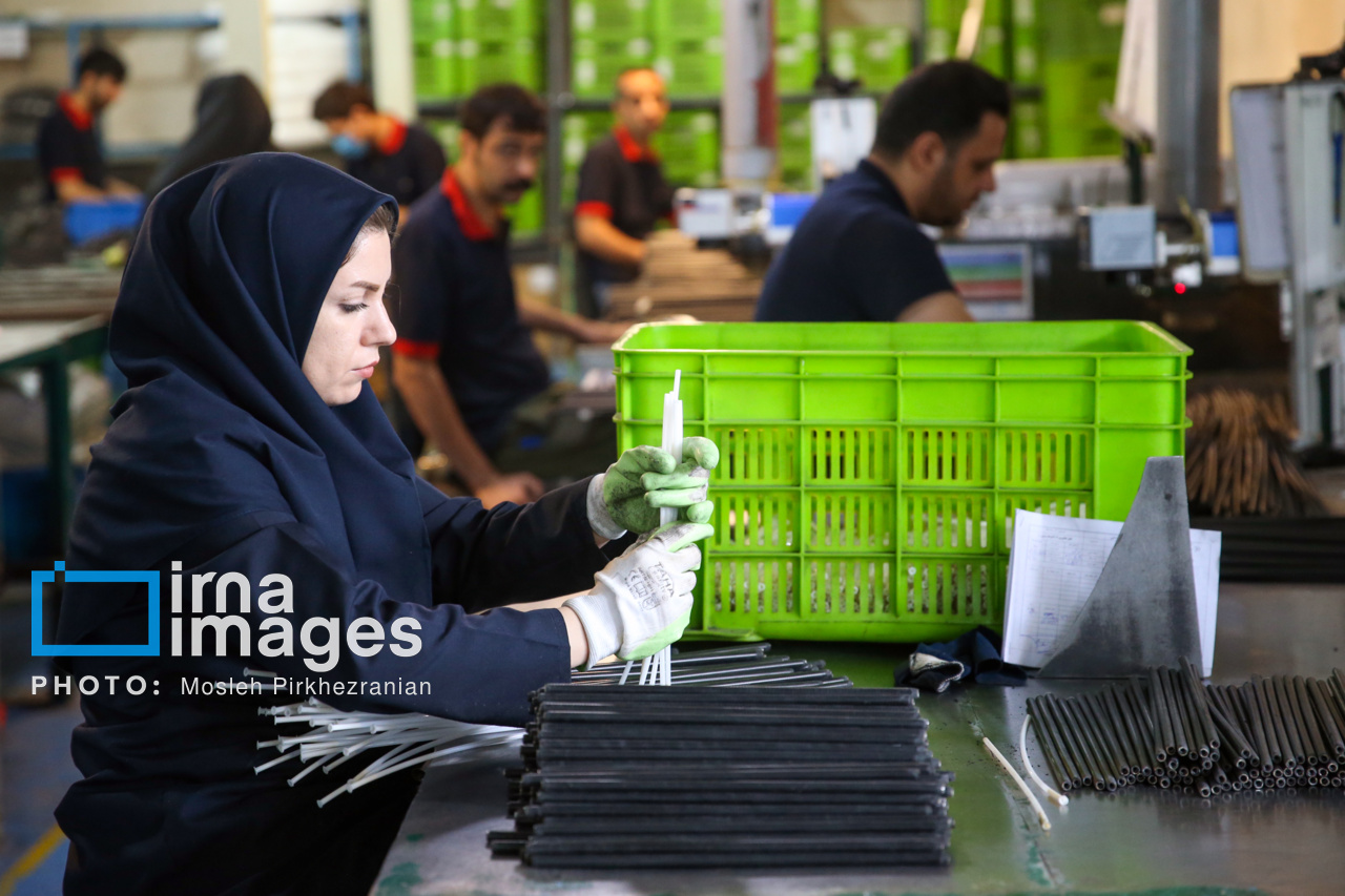 عارضه‌یابی علمی واحدهای راکد در قزوین آغاز شد