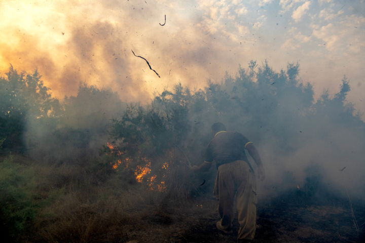 یک آتش و سه گزارش/ محیطزیست در آتشسوزی الیت تمامقد پای کار بود