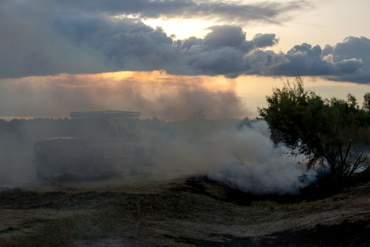 جنگ «میانکاله» برای بقا؛ فاصله کوتاه بهشت پرندگان با کانون ریزگرد
