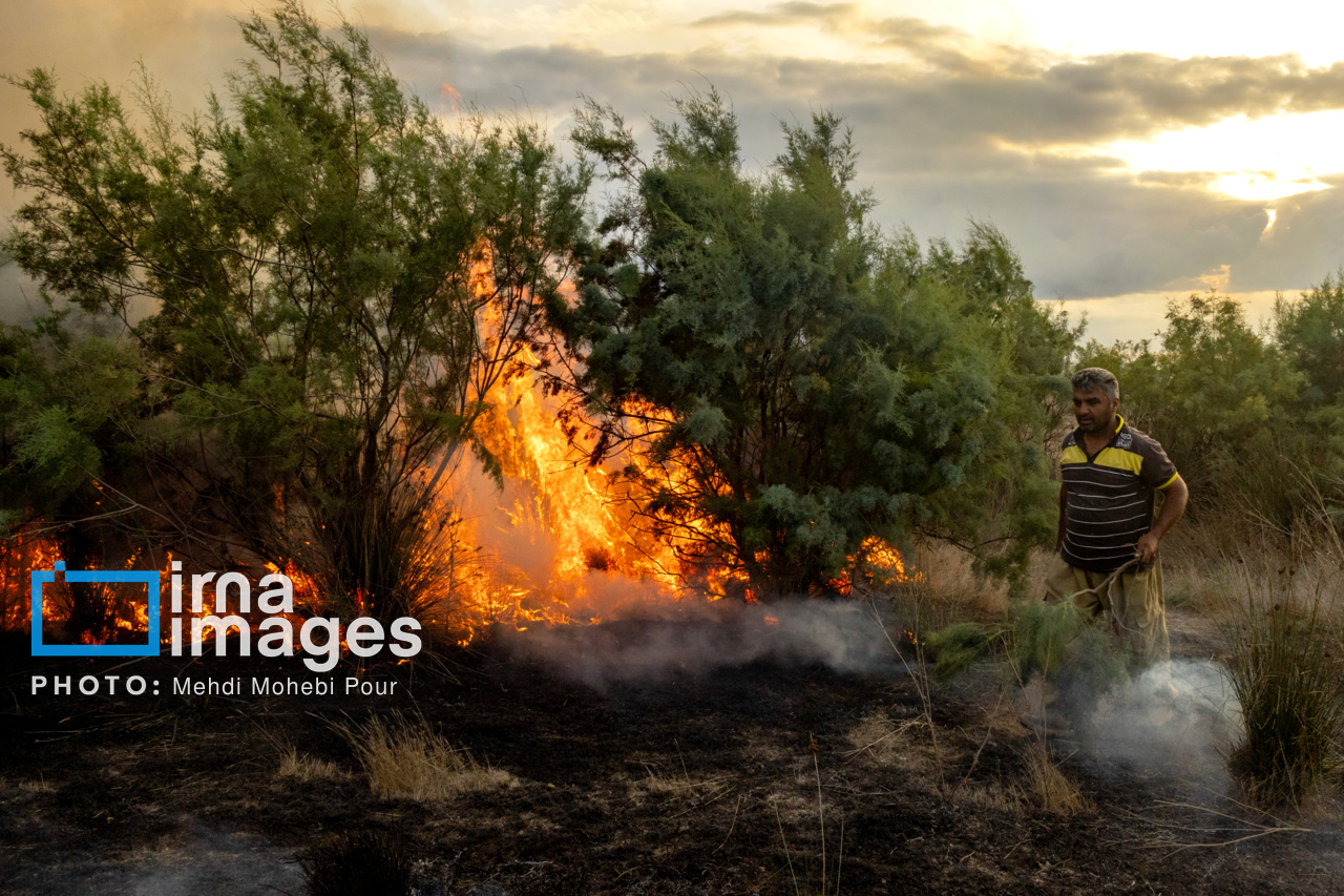 کاهش ۵۵ درصدی وسعت آتش‌سوزی‌ها در عرصه‌های منابع طبیعی کرمانشاه