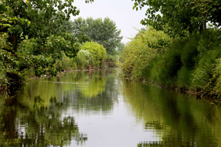 خمام؛ هنر حصیر تا عطر تالاب بر فراز کلبههای درختی