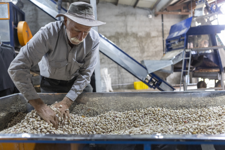 ناترازی آب به طرح الگوی کشت رسید/بازارپذیری محصولات جایگزین در سمنان