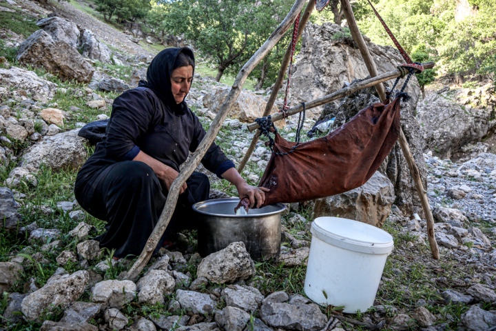 کوچ، قصه‌ اصالتی که در گذر تاریخ گم نمی‌شود