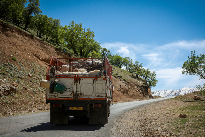 لزوم رعایت قوانین راهنمایی و رانندگی در کوچ ایمن