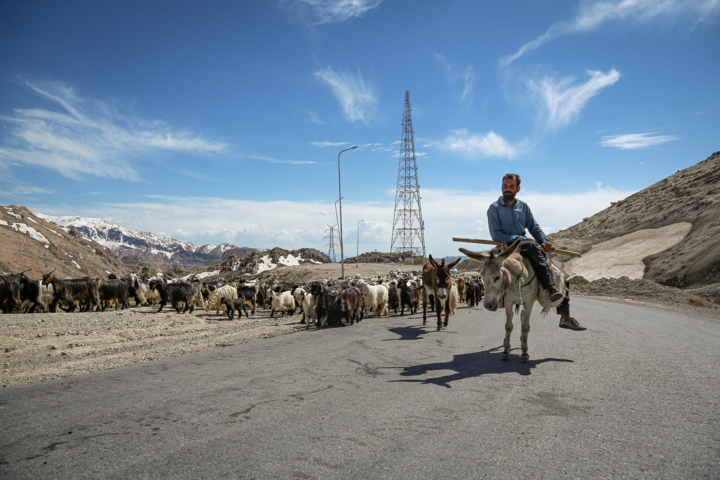 کوچ، قصه‌ اصالتی که در گذر تاریخ گم نمی‌شود