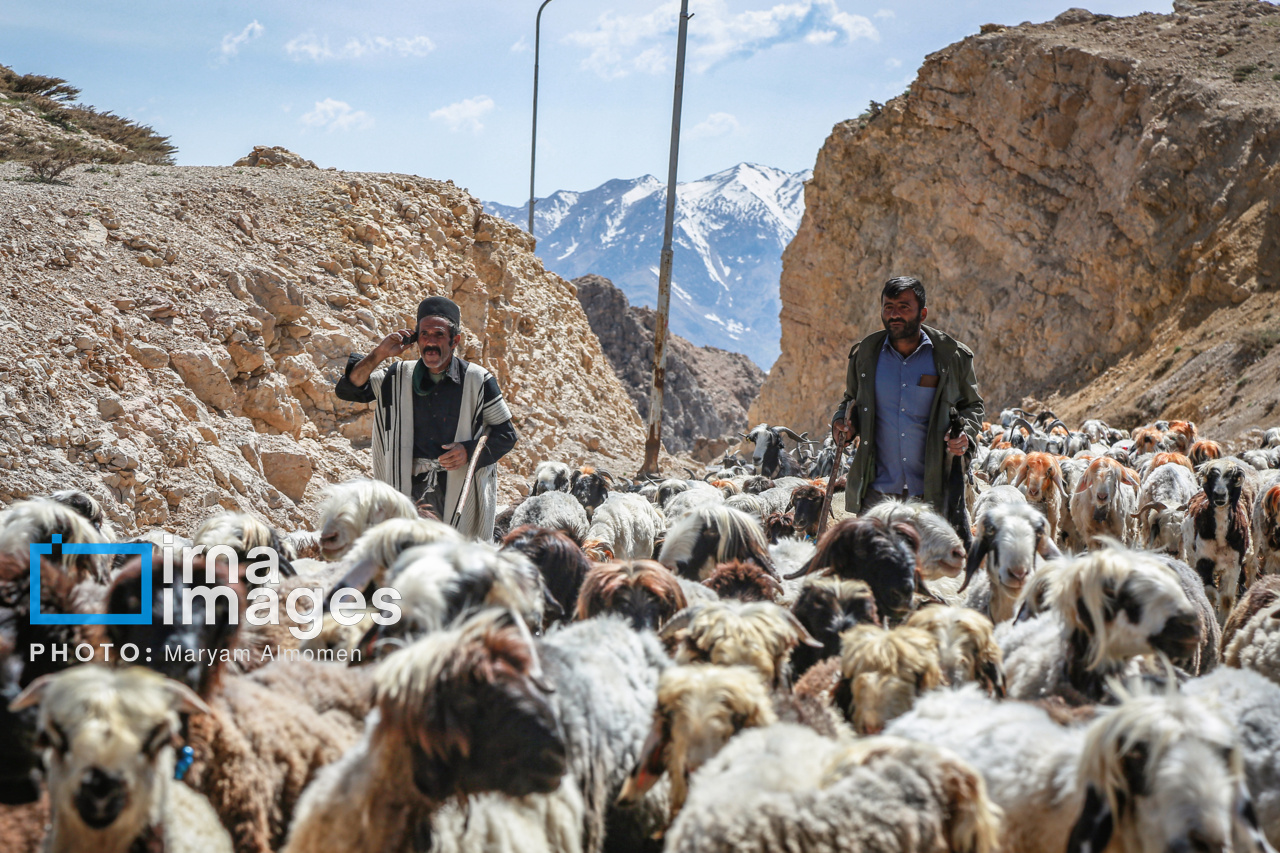 عشایر آذربایجان‌شرقی از هرگونه شتاب در حرکت به سمت ییلاقات خودداری کنند