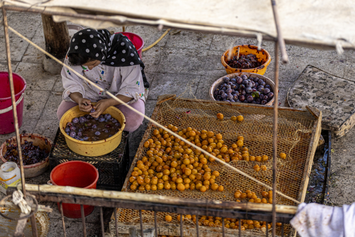 قاب زندگی/ خور؛ پایتخت آلوی ایران و شهری با طعم آلو و عطر تاریخ