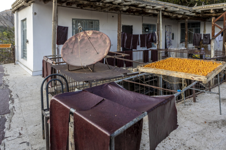 قاب زندگی/ خور؛ پایتخت آلوی ایران و شهری با طعم آلو و عطر تاریخ