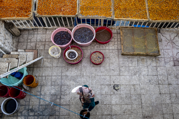 قاب زندگی/ خور؛ پایتخت آلوی ایران و شهری با طعم آلو و عطر تاریخ