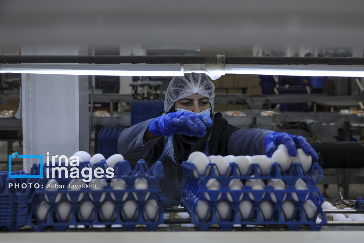Egg prices reach 110,000 tomans