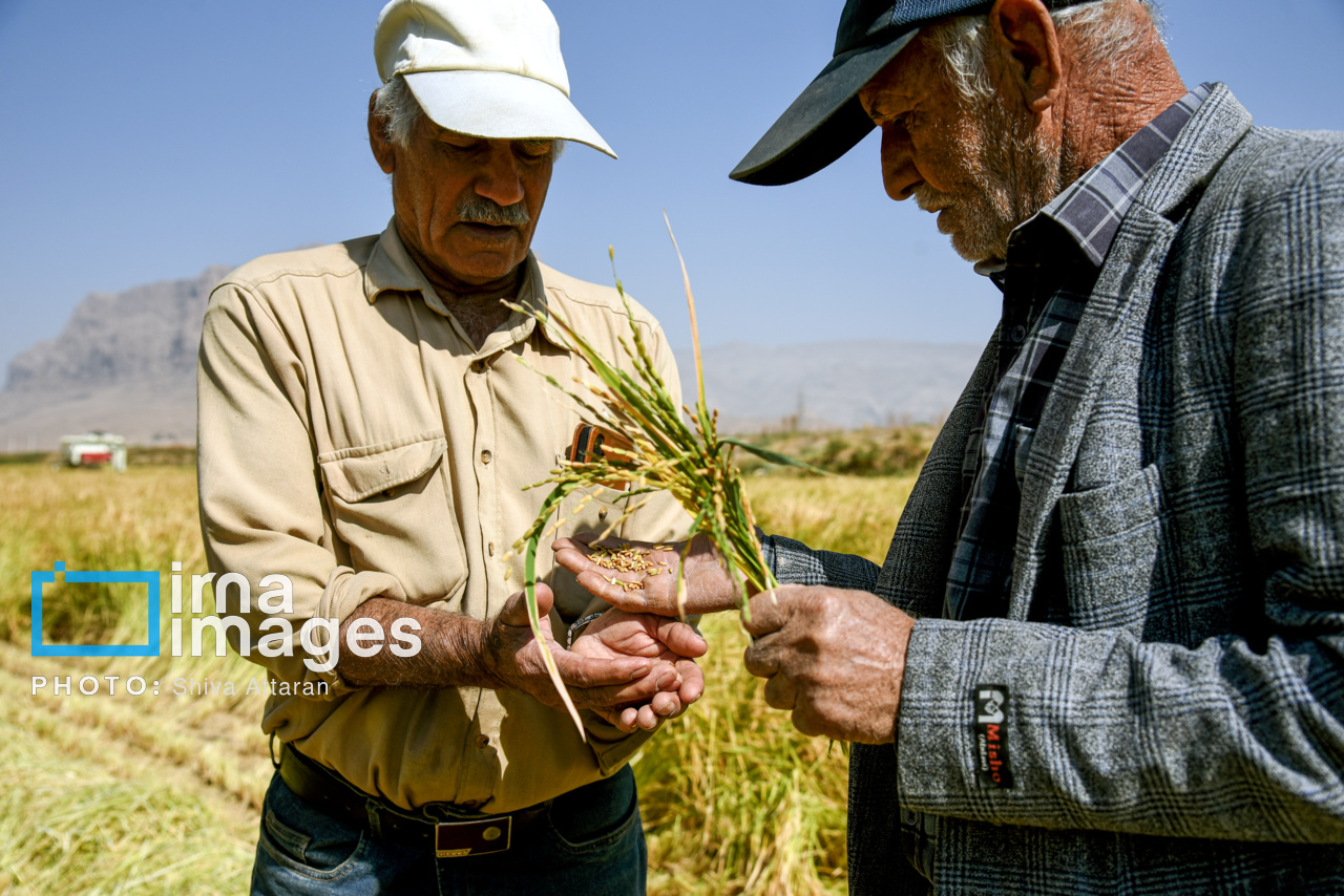 فرماندار ویژه شاهرود: خشکسالی توانی برای بازپرداخت وام در کشاورزان نگذاشته است