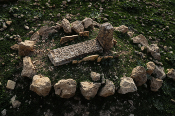 مرگ آرام شیرهای سنگی