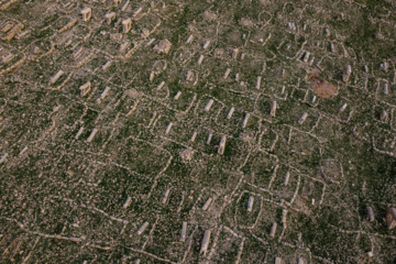 مرگ آرام شیرهای سنگی