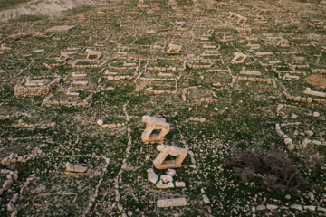 مرگ آرام شیرهای سنگی