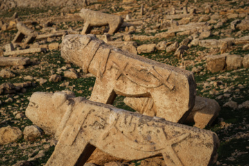 مرگ آرام شیرهای سنگی