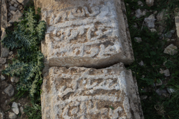 مرگ آرام شیرهای سنگی