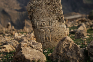 مرگ آرام شیرهای سنگی