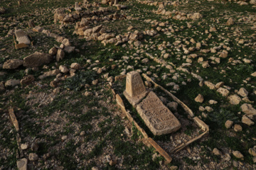 مرگ آرام شیرهای سنگی