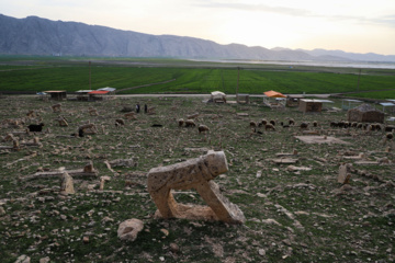 مرگ آرام شیرهای سنگی