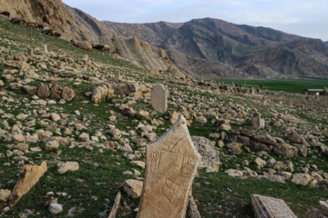 مرگ آرام شیرهای سنگی