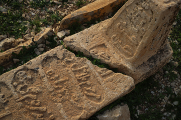 مرگ آرام شیرهای سنگی