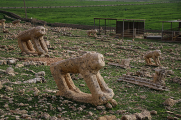 مرگ آرام شیرهای سنگی