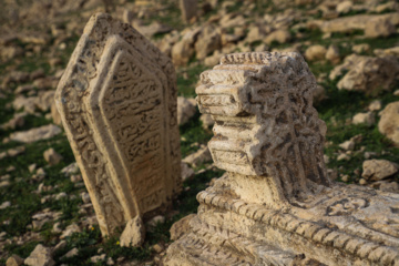 مرگ آرام شیرهای سنگی