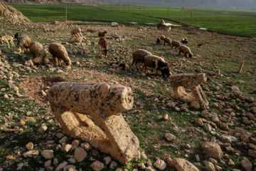 مرگ آرام شیرهای سنگی