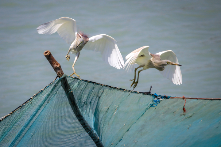قاب زندگی/ روستای سهیلی؛ نماد گردشگری سبز و پایدار