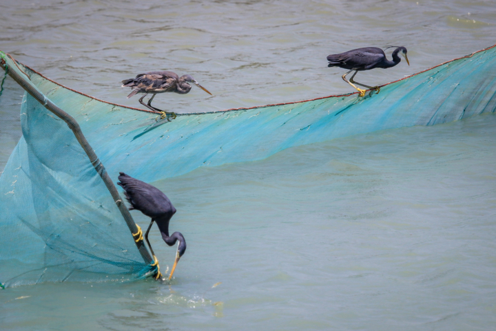 قاب زندگی/ روستای سهیلی؛ نماد گردشگری سبز و پایدار