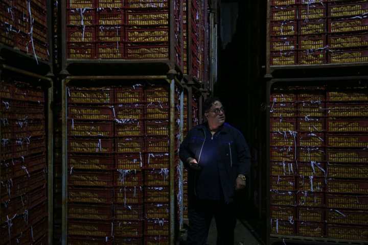 بسته‌های سرمایه‌گذاری برای تولید در مازندران معرفی می‌شود