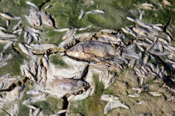 خشک شدن سد عبدل آباد بجنورد