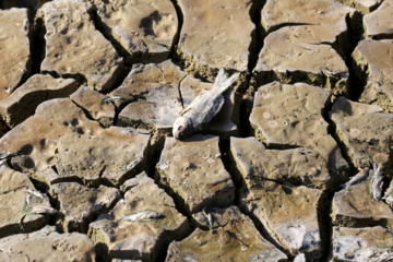 خشک شدن سد عبدل آباد بجنورد