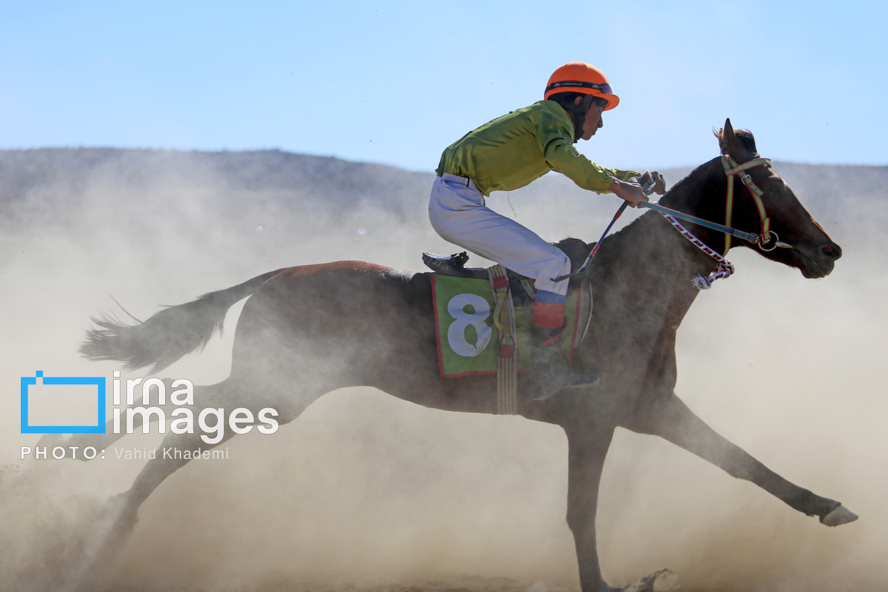 حیدری: اگر مدیران پیشین بلد بودند، مشکل قرنطینه اسب حل شدنی بود