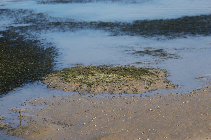 زنگ خطر منابع آبی لرستان با کاهش ۳۸ درصدی بارشها