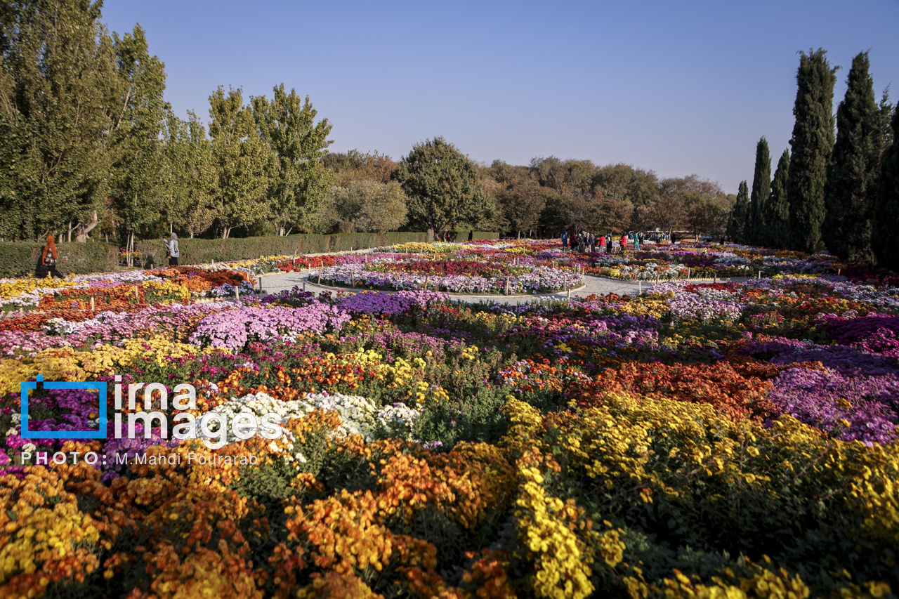 کمبود آب جدی‌ترین چالش باغ گیاه‌شناسی ملی ایران است