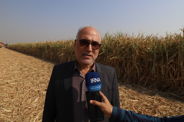 نیشکر خوزستان؛ طرح تمدنی در مسیر امنیت غذایی، توسعه پایدار و اقتصاد مقاومتی