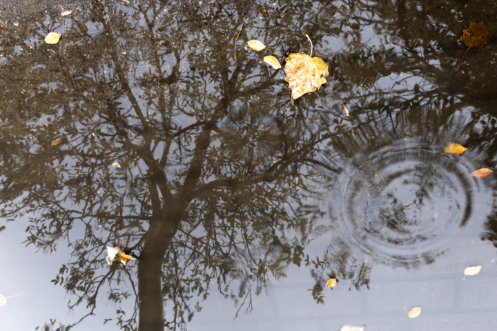 اخبار کوتاه سمنان در آیینه ایرنا؛ تروریستی خواندن سپاه خارج از صلاحیت حقوقی اروپاست