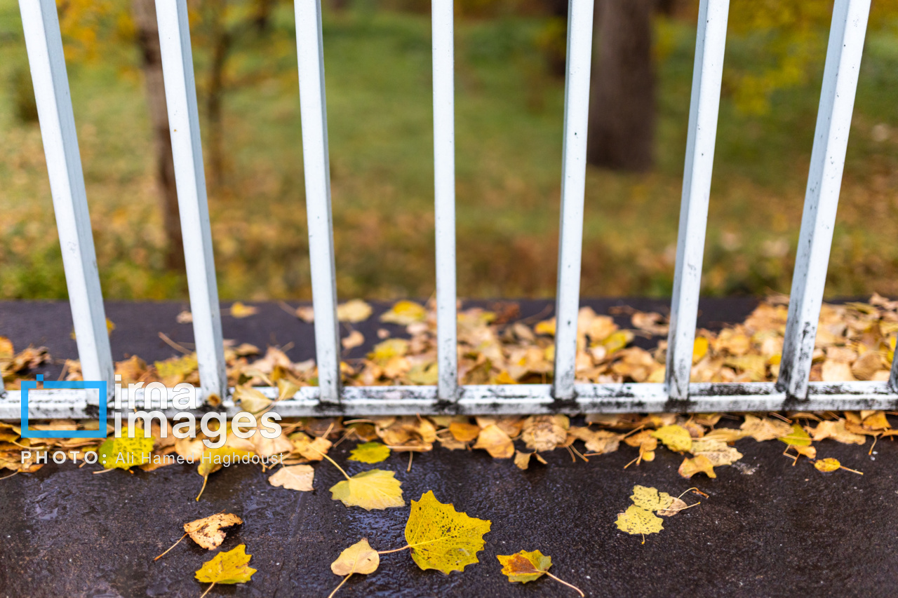 بارش‌های رگباری در راه مازندران