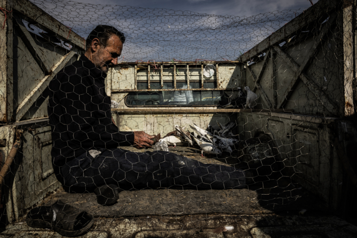 قاب زندگی/ اتوبان آزادگان و جمعه‌هایی پر از قفس